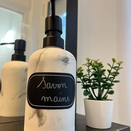 Le Cesar Xvii - Hypercentre Lägenhet