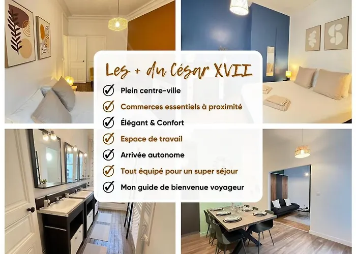 Le Cesar Xvii - Hypercentre Angers