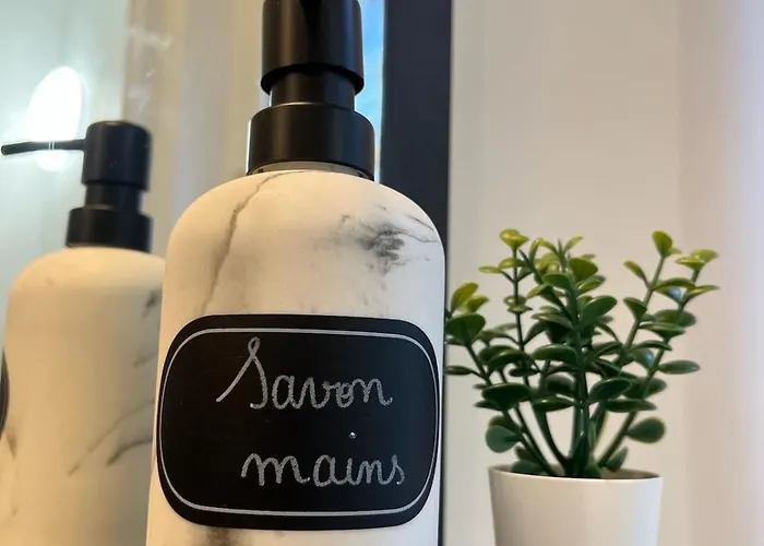 Le Cesar Xvii - Hypercentre Lägenhet